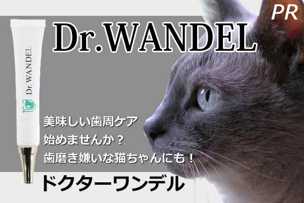 ドクターワンデル　猫